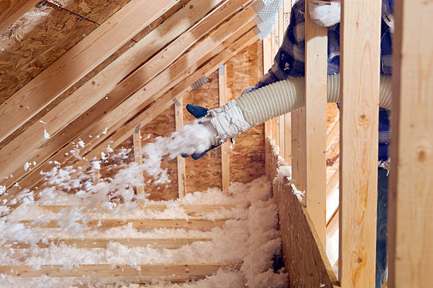 Best Eco-Friendly Insulation Solutions  in Jones Creek, TX